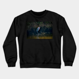 Stately Reddish Egret Crewneck Sweatshirt